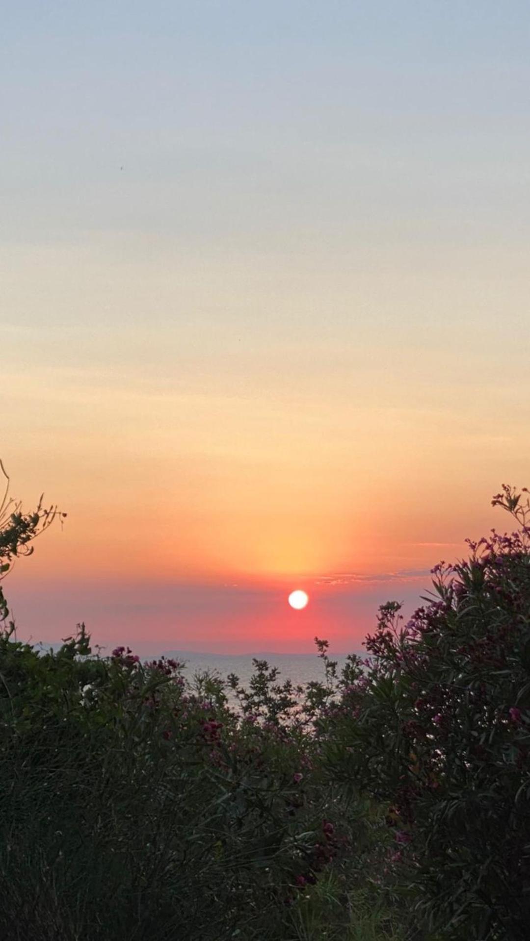 Nazaara -Thhpsociety - Mukteshwar - Witness The View From Your Bed المظهر الخارجي الصورة